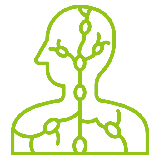 Domumed – Physiotherapie – Symbol